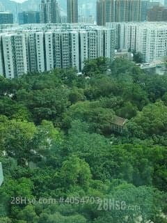 2 BR in > 5 Golden A lush green park scene! Very pleasing to the eye