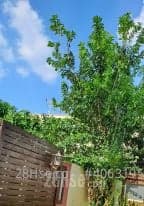 3 BR in > 11 Fairview Park for Rent Yuen Long Fairview Park | House 