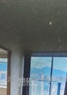 1 BR in > 3 Golden Unbeatable view. 1 bedroom. 3 days ago posted Tai