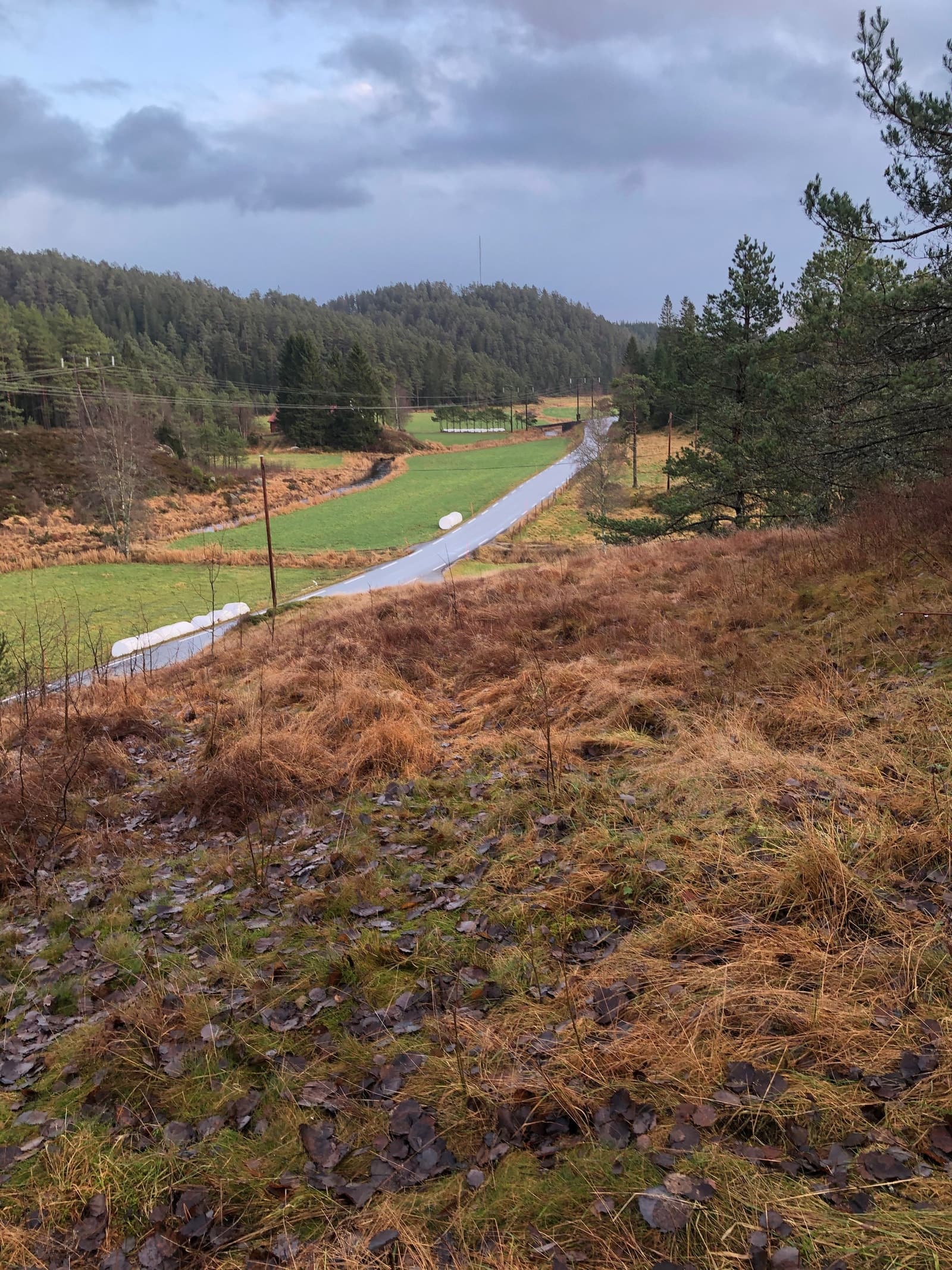 Privat Boligtomt Finslandsvegen 47, Finsland 4 600 m² 679 000 kr Totalpris: 679 100 kr ∙ Tomt Legg til som favoritt