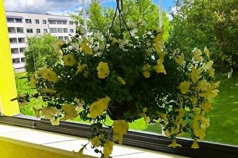 4 rooms, 77.5 m² - Jaama 24d-7, Põlva linn, Põlva vald