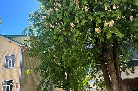 3 rooms, 68.0 m² - Tina 5/2, Kadriorg, Tallinn