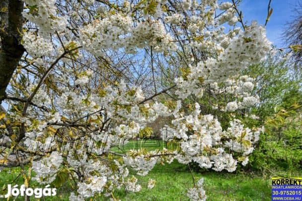 Eladó Építési telek Balatonlelle
