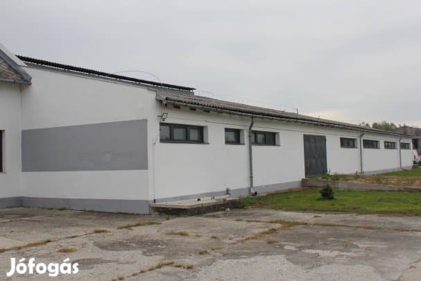 Kiadó veszkényi raktár