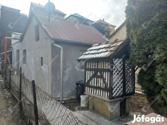belvárosközeli családi ház