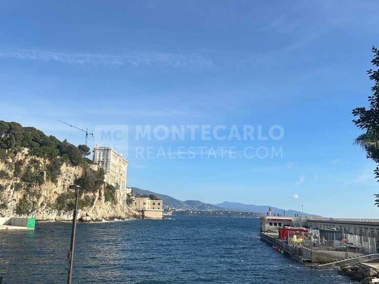 FONTVIEILLE - OFFICE 290 M² FOR RENT