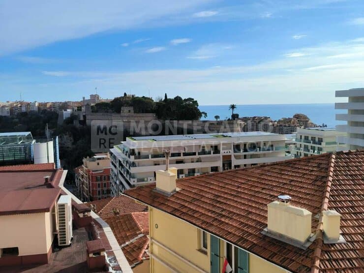 Large 2 beroom apartment in Monaco, calm and serenity, excellent condition and panoramic view