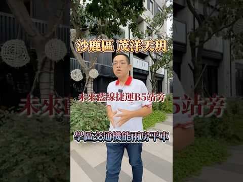 【凱心成家】㊣台灣大道｜茂洋天玥｜藍線B5站兩房平車