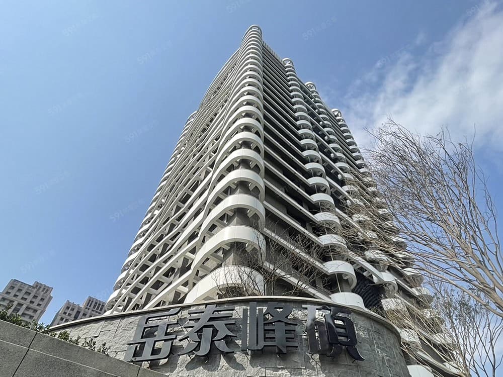 岳泰峰碩