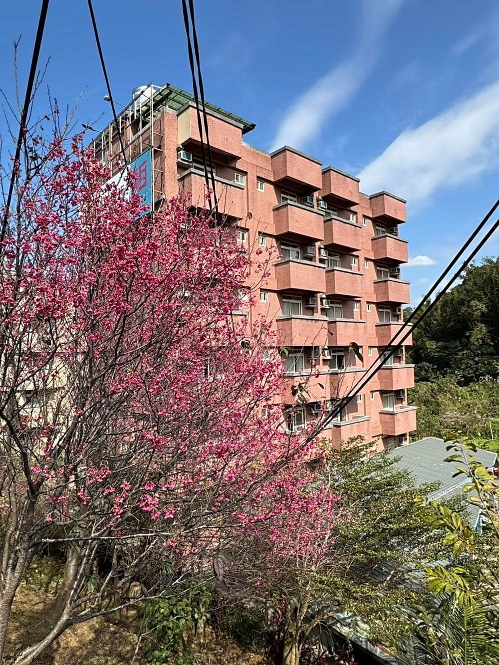 桃園銘傳大學校門口正對面優質套房，CP值最高！