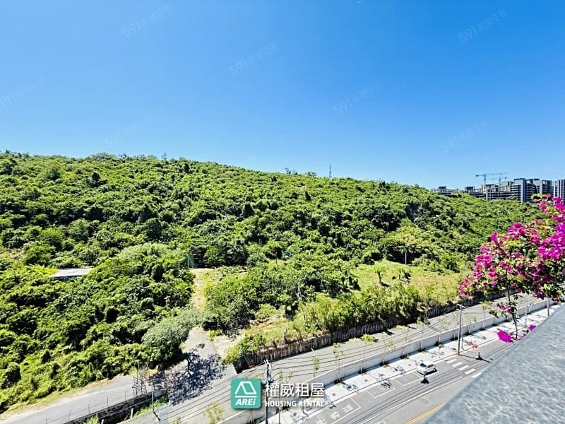 🐾鼎宇鼎峰｜讓寵物奔跑的房子｜彈性四房好利用-權威