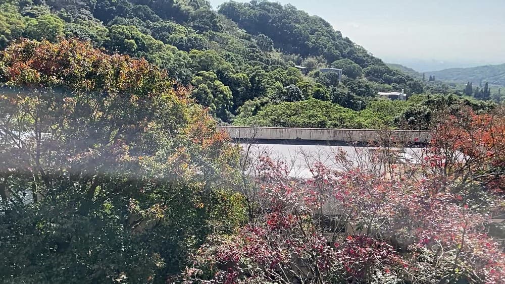 🌈北士科15分鐘🌈新成屋7字頭🍎綠蔭窗景🍎2房車