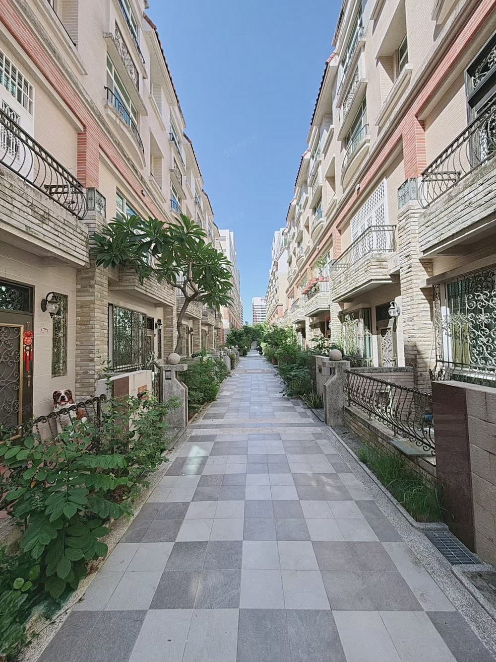 ⭣降價⭣🍎東橋重劃區｜進駐東橋透天好時機｜黃金好案