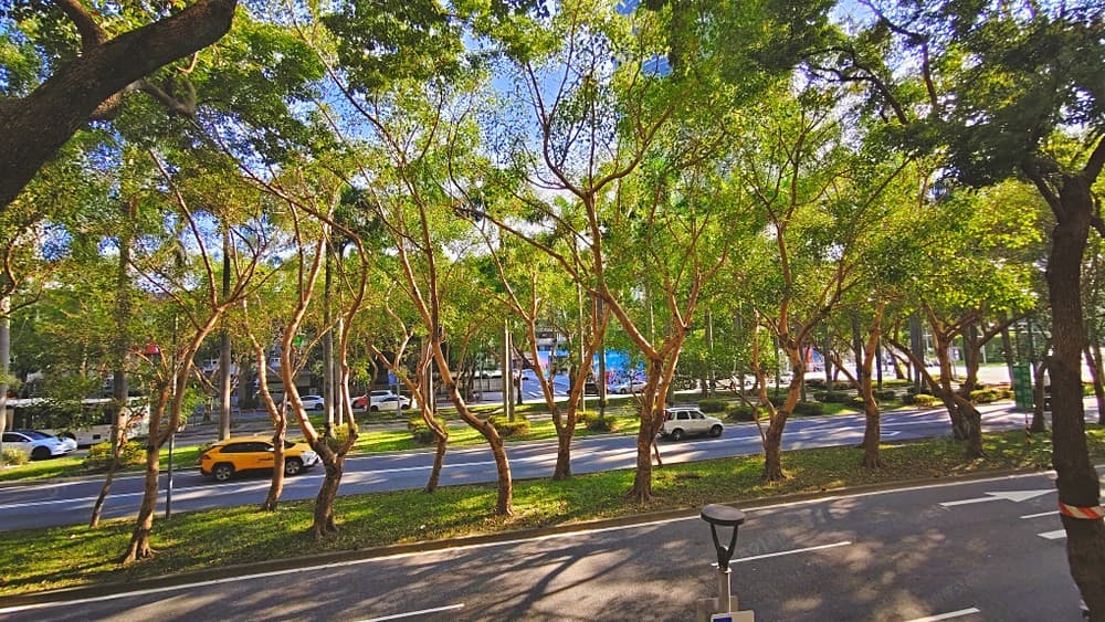 住商仁愛光復店~仁愛鑽石正面林蔭豪邸