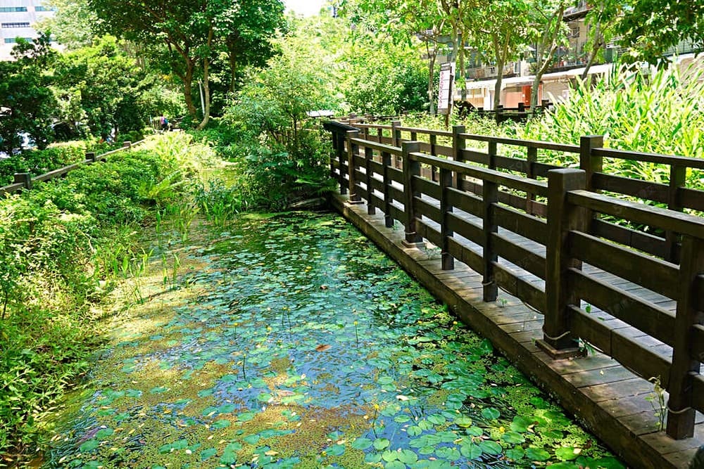 🌈民生社區核心🌈富民公園首排樹海美寓🌲黃金2樓