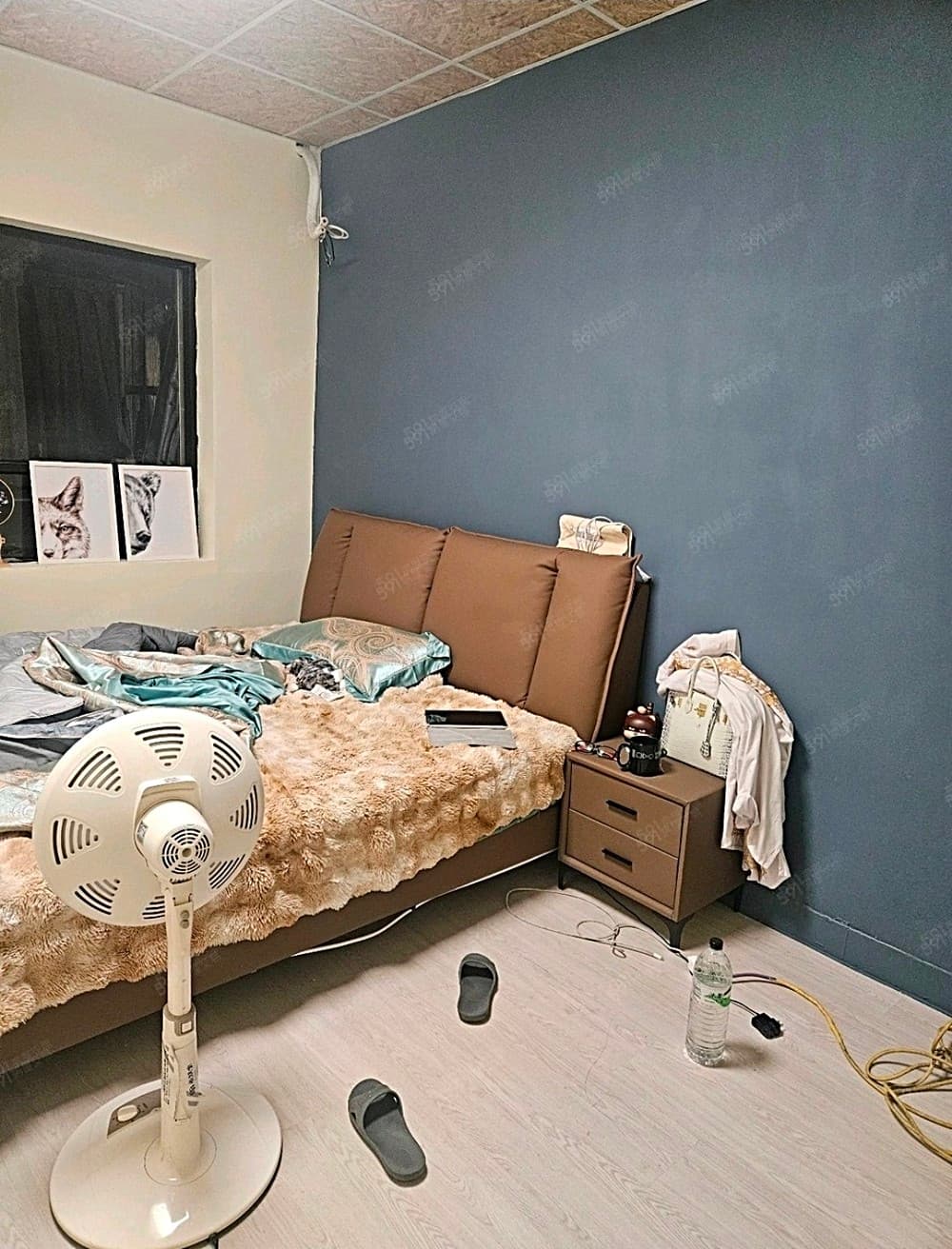 美套房出租可寵住宅範圍大有客廳採光好有廚房住宅位五樓
