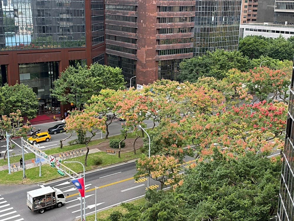 🍎🍎敦南★大安雙捷運★精裝時尚2房美宅