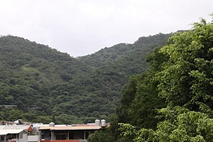 男性大床套房有外窗戶通風光線佳近內科捷運