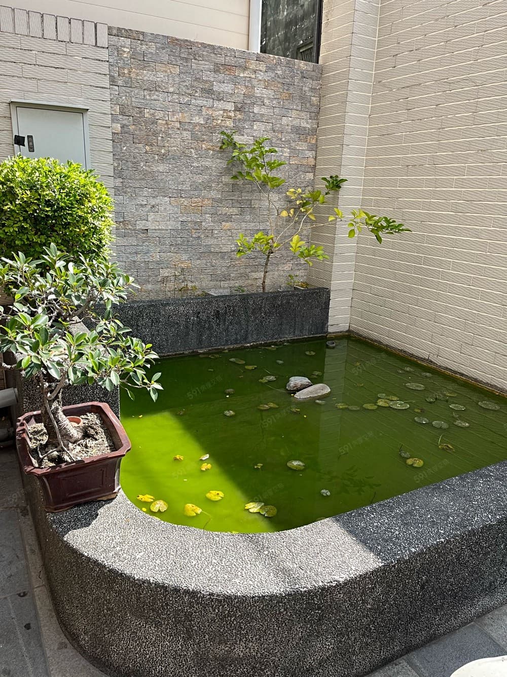 近南科/善化市中心/採光佳/獨立洗衣機