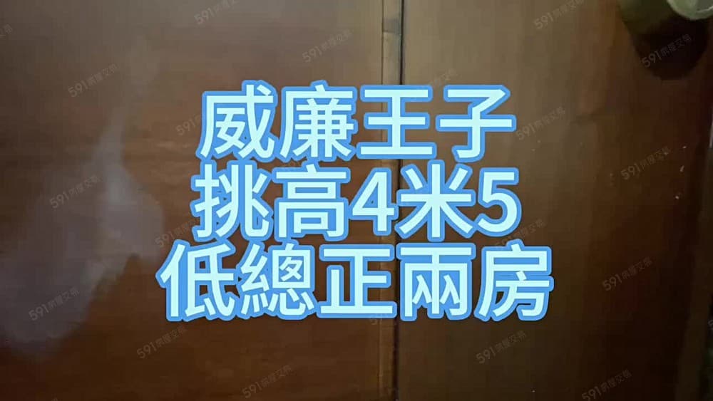 【安勝團隊】超便宜❗️威廉王子挑高正2房🌟中信唐宇