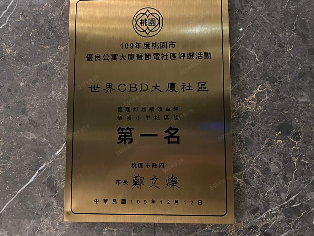 【坐北巢男】專任,桃園青埔,世界CBD樓中樓視野無敵