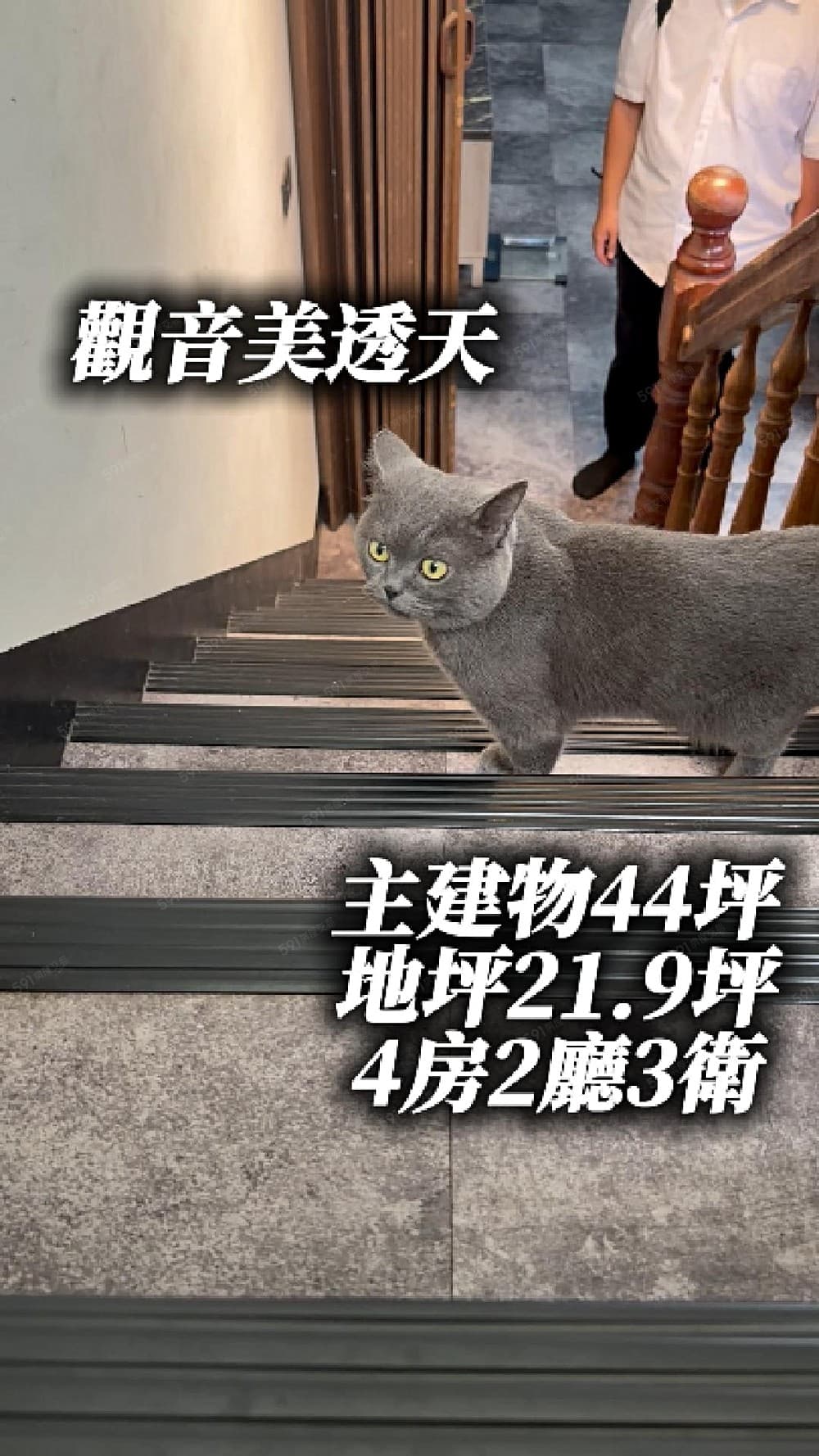 ⭐⭐一坪僅14.14萬⭐️⭐️專任觀音超值低總價大坪數美透天