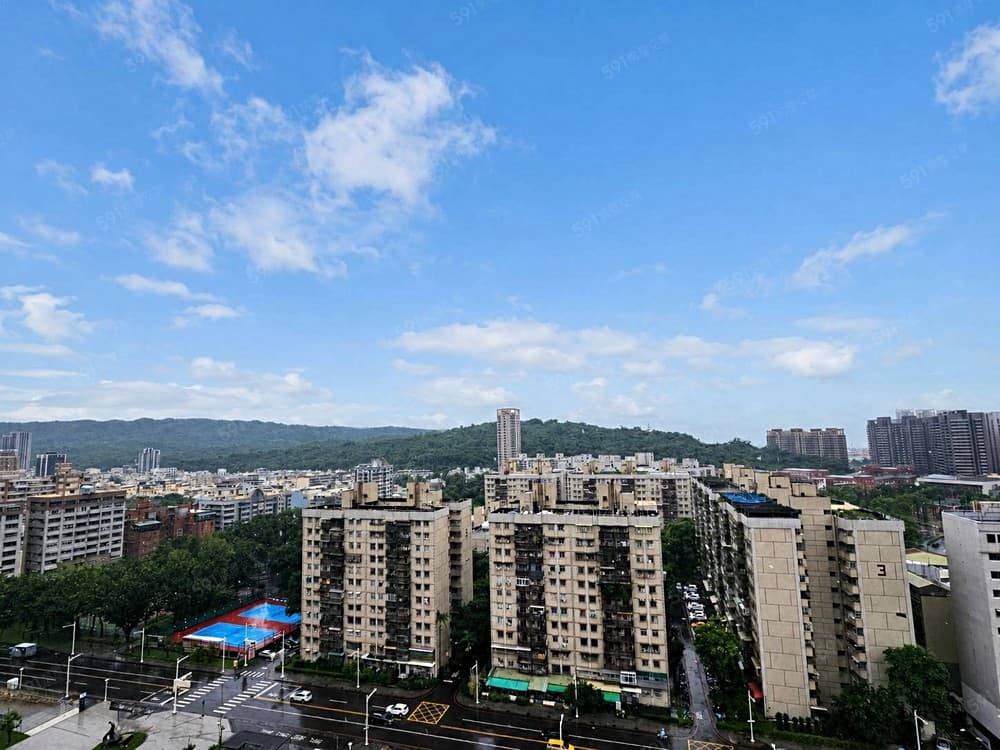 美術館綠園道第一排山海景觀4房平車