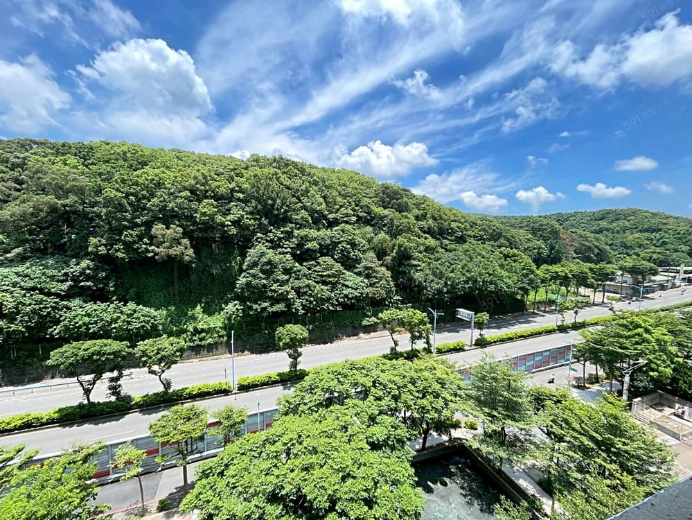 陸光新城~山景房
