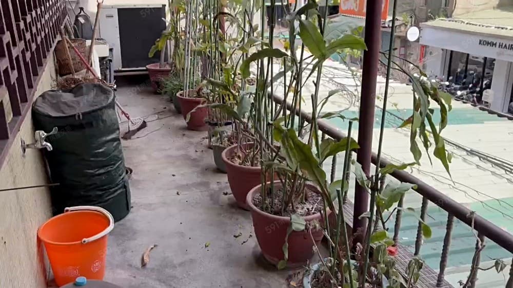 🍎捷運行天宮.松江.錦州.2樓美寓🍎