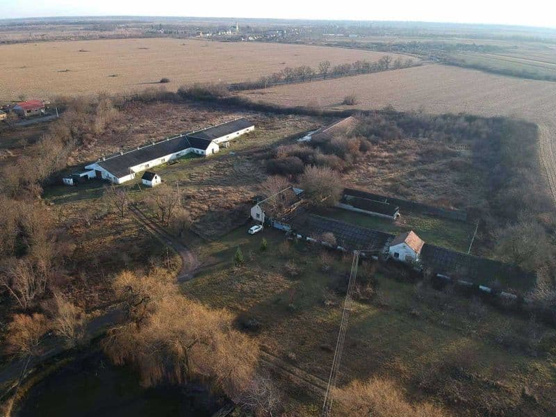 Свиноферма 2200 м² + 3,62 Га у власності біля Берегового, свердловина, водойма