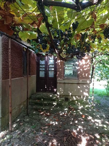 Будинок з земельною ділянкою біля будинку