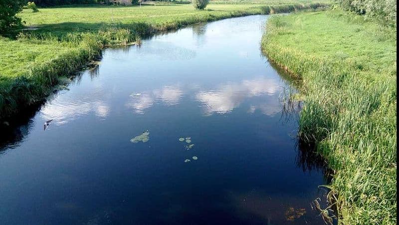 Садовий будинок на ділянці 1,2 га,(Без Сусідів), оточена сосновим бором (58 км від Києва). Під Вілу, базу відпочинку або будь-який вид діяльності
