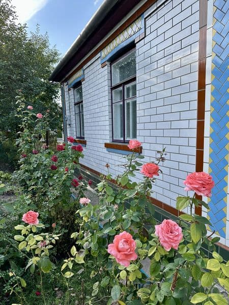Продається приватний будинок у м. Жашків