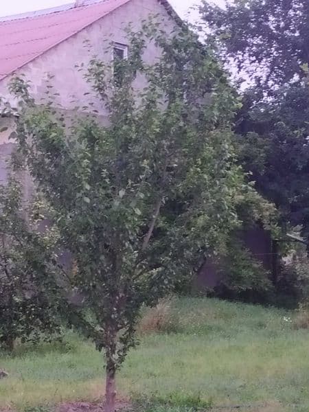 Продам  дом в Коростышевском р-не.