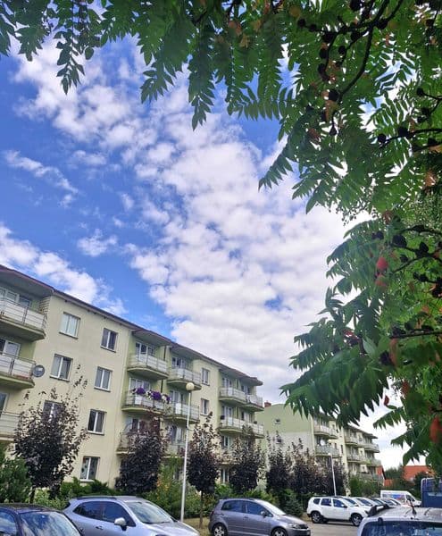 Mieszkanie 56 m² do wynajęcia – dostępne od zaraz!