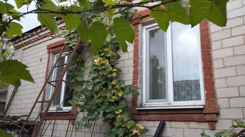 Продам будинок в місті!рай.. цукровий завод!