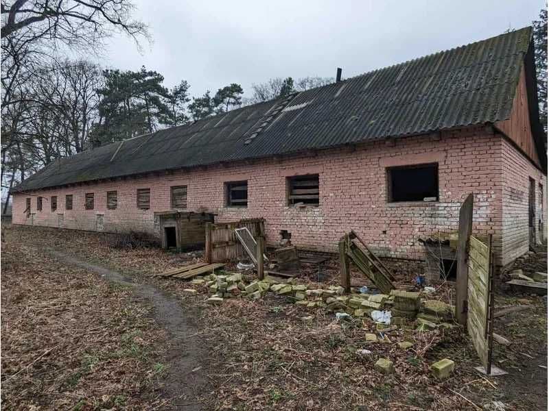 ПРОДАЖ - Будівлі виробничого призначення у складі: картоплесховище та свинарник, загальною площею 527,3 кв.м. м. Ківерці