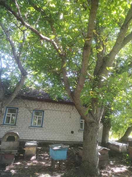 Продам будинок с.Ставок .торг