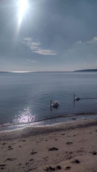 Сдам дом на берегу моря. Черноморск.