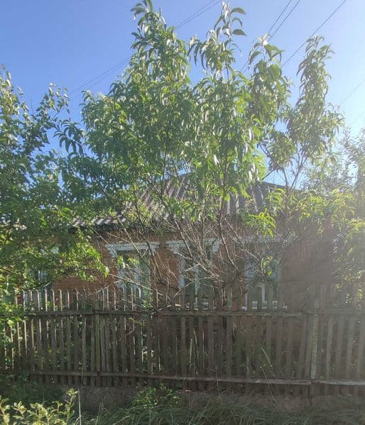 Продаётся два дома в одном дворе /Торг/Варианты оплаты/Недвижимость
