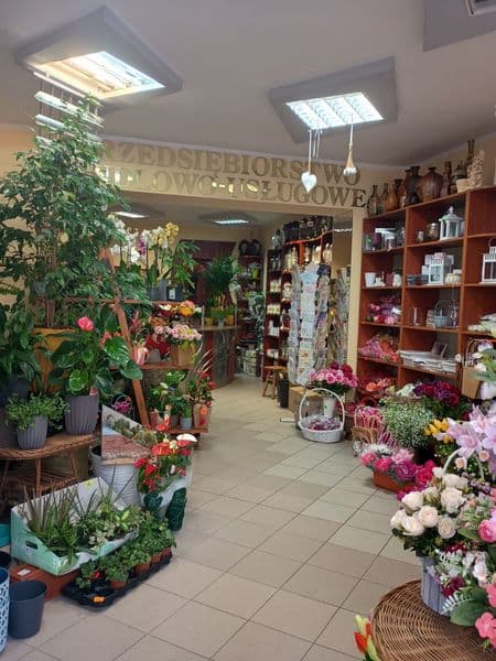 Sprzedam Lokal uslugowy centrum Bytowa