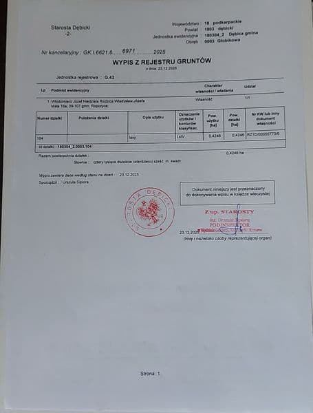 Sprzedam las w miejscowości Głobikowa