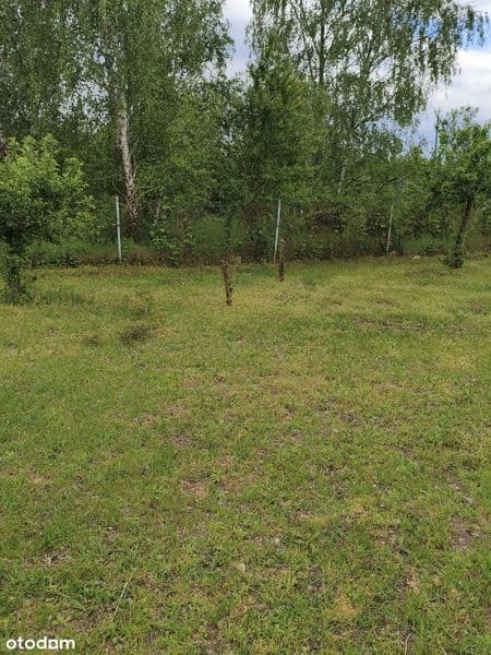 Działka z Duszą i Widokiem na Brzozowy Gaj – Leszno