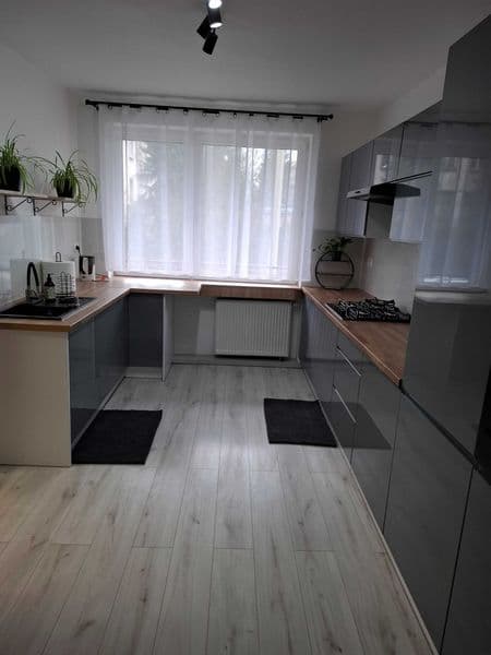 Mieszkanie do wynajęcia