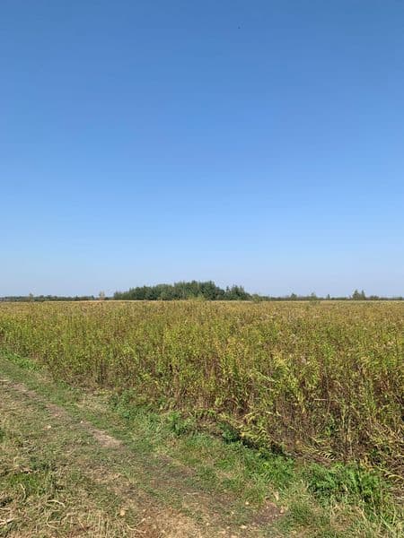 Sprzedam: DZIAŁKA ROLNA 1,15 ha - Wielowieś, Tarnobrzeg