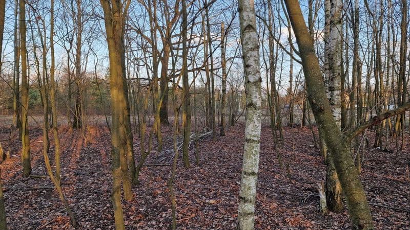 Działka budowlana Milanówek