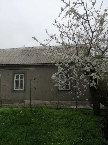 Продаж будинку в Новомиколаївці (зал/ст Верхньодніпровськ)