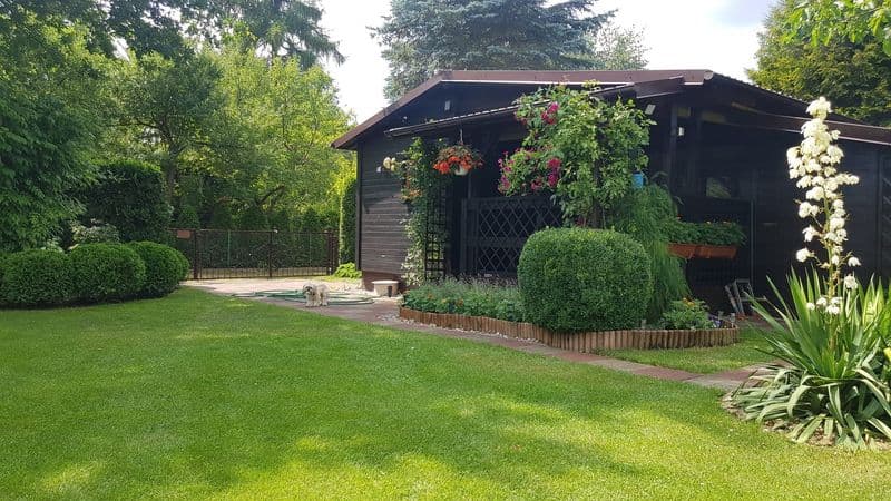 Działka rekreacyjna ROD Relaks Szczaki pod Warszawą 500 m²