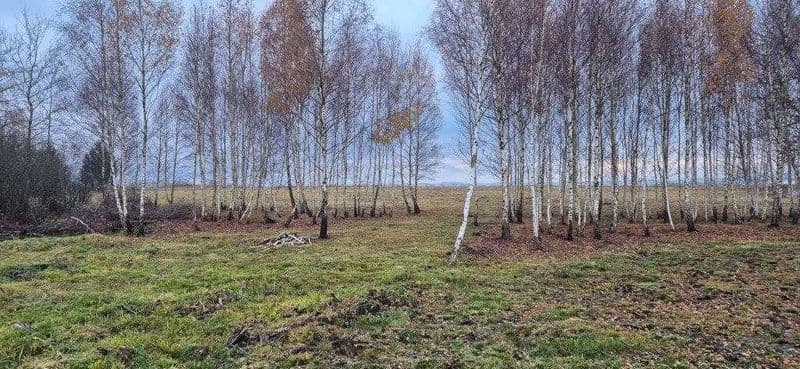 Piękna działka w Lęborku (1 km od centrum) z planem zagospodarowania