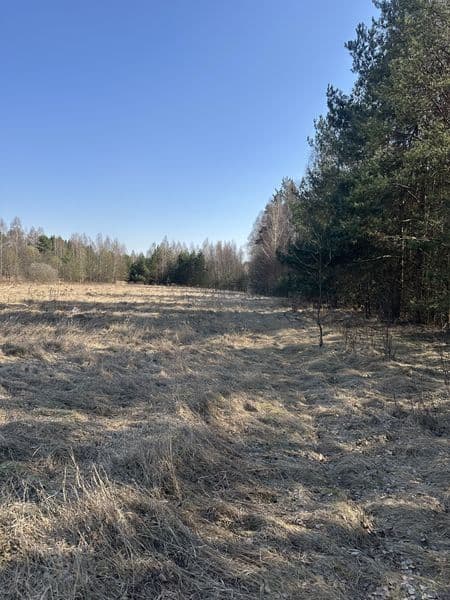 Bezpośrednio działka budowlana przy Lesie 849m2